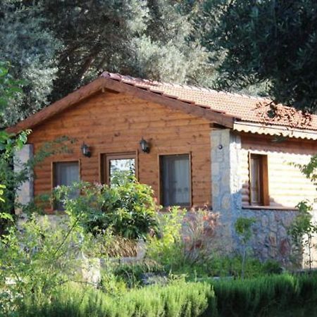 Datca Masal Gibi Ngoại thất bức ảnh